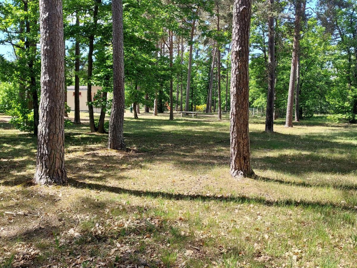 Camping Onlycamp Les Pins Nancay Екстериор снимка