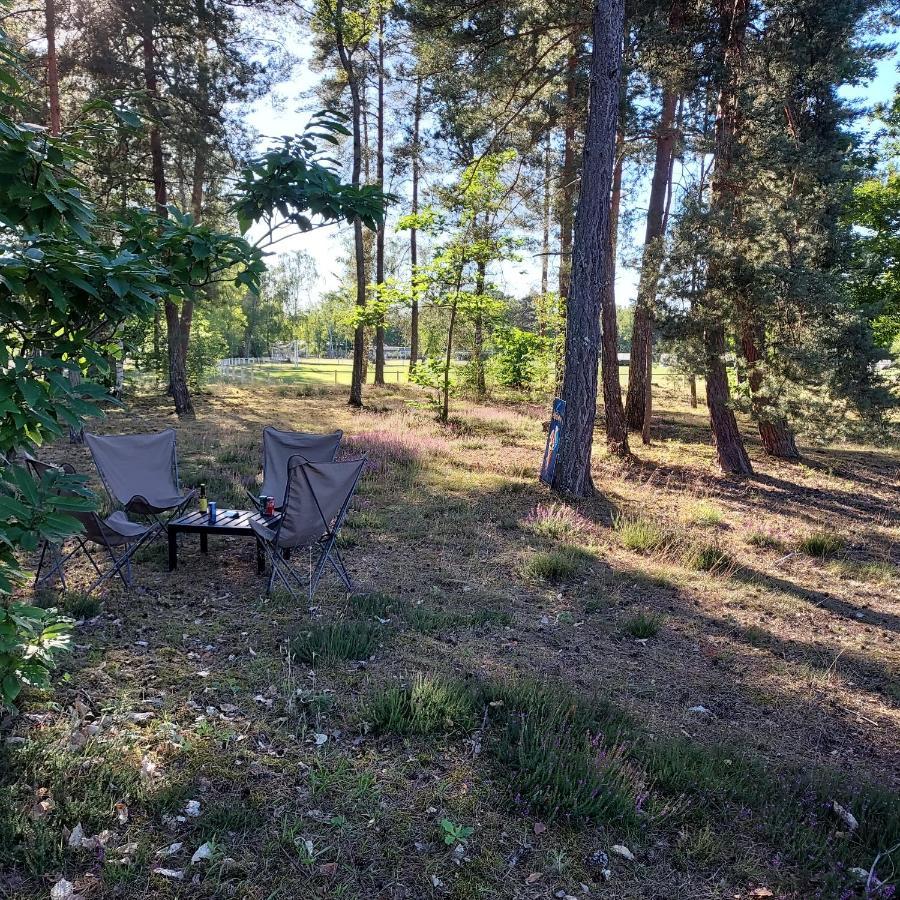 Camping Onlycamp Les Pins Nancay Екстериор снимка